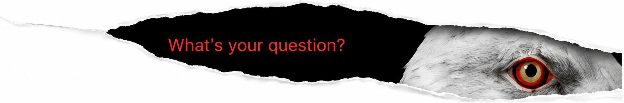 What’s your question?